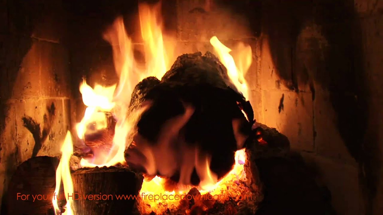 Log fire video loop free download